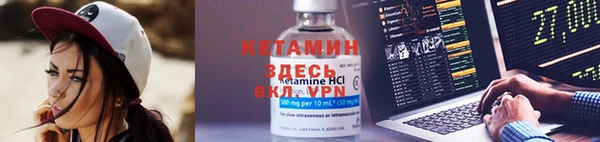 гашик Алексин