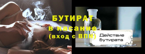 гашик Алексин