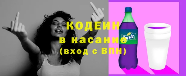 гашик Алексин